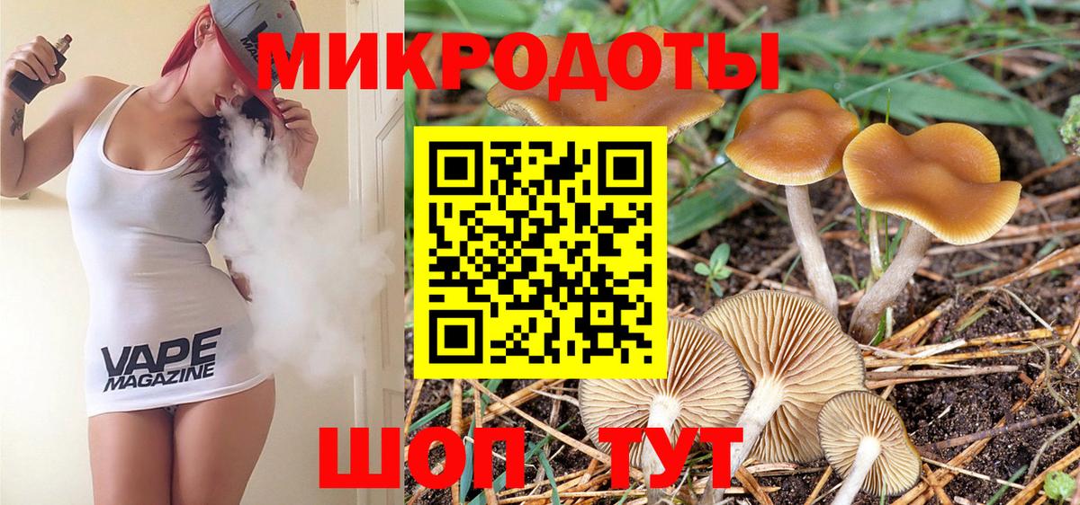 Заводоуковск  Псилоцибиновые грибы мухоморы  Вход с VPN  Псилоцибиновые грибы мицелий 